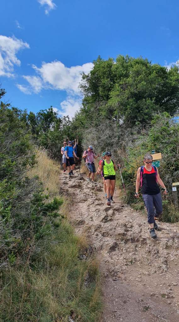 Groupe de marcheurs sur un sentier rocheux bordé de végétation